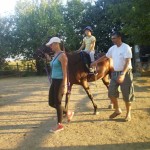 OLYMPUS DIGITAL CAMERA