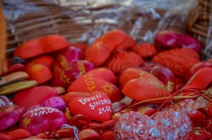 11053354_867741239930635_581730295110438736_n